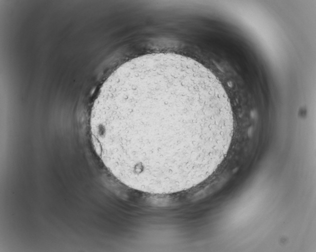 X0000116620767201001221340
