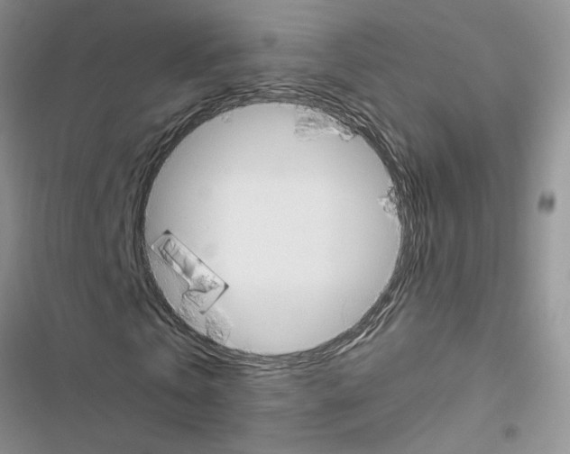 X0000116620769201001221339