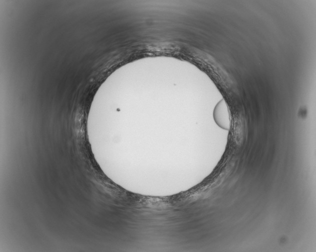 X0000116620770201001221339