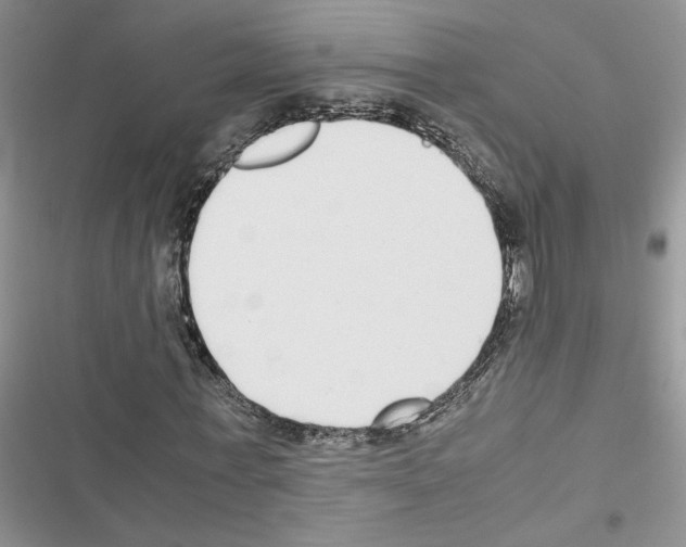 X0000116620771201001221339