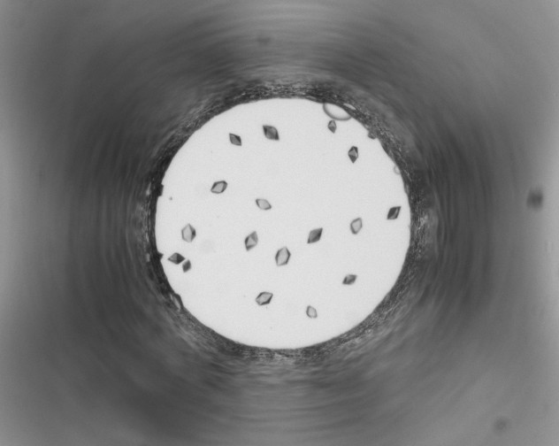 X0000116620772201001221339