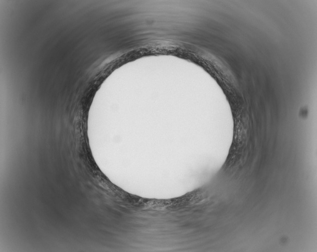 X0000116620773201001221339