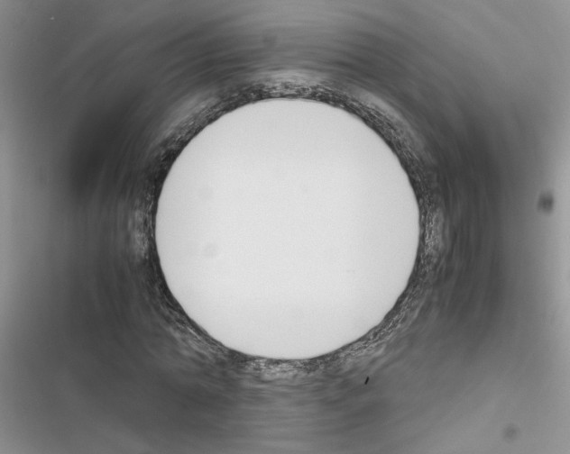 X0000116620774201001221339