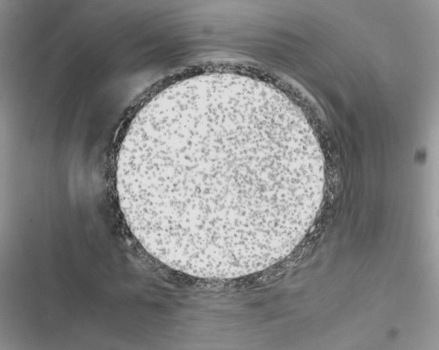X0000116620775201001221339