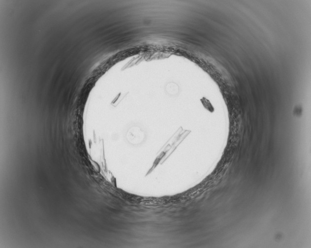 X0000116620776201001221339