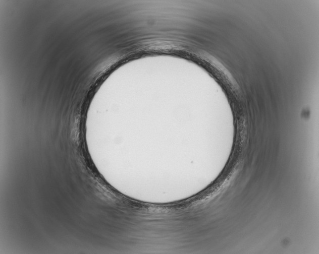 X0000116620777201001221339