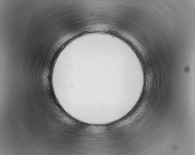 X0000116620778201001221339