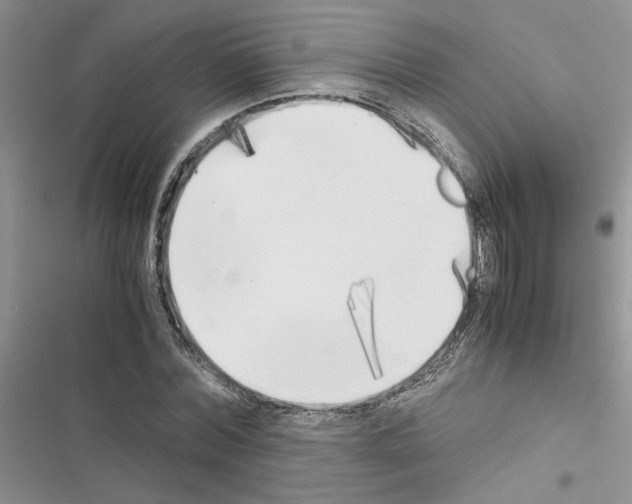 X0000116620780201001221339