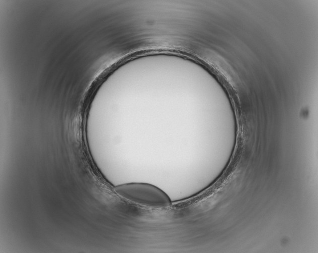 X0000116620781201001221339