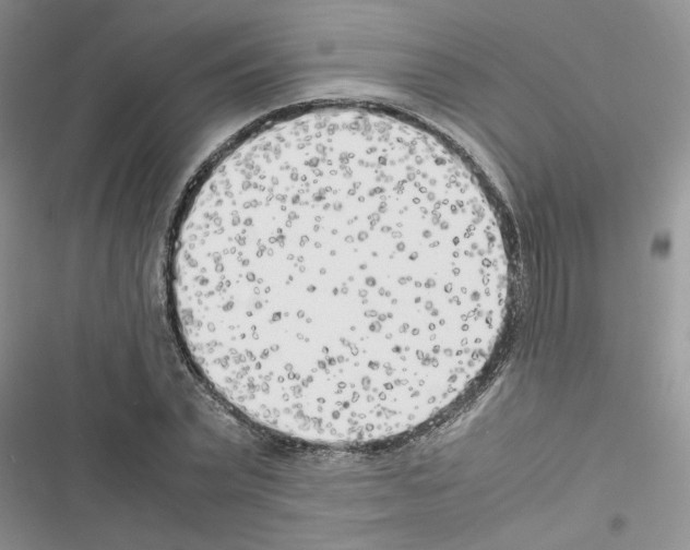 X0000116620783201001221339