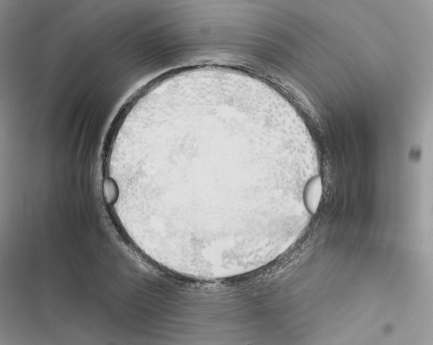 X0000116620784201001221339