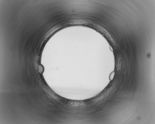 X0000116620786201001221339