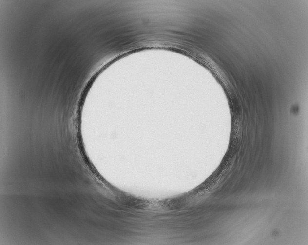X0000116620787201001221339