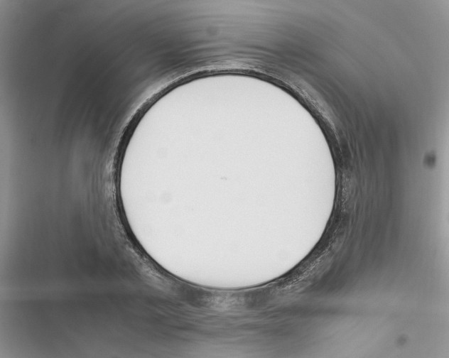X0000116620789201001221339