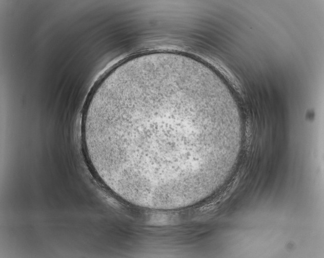 X0000116620790201001221339