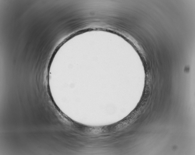 X0000116620791201001221339