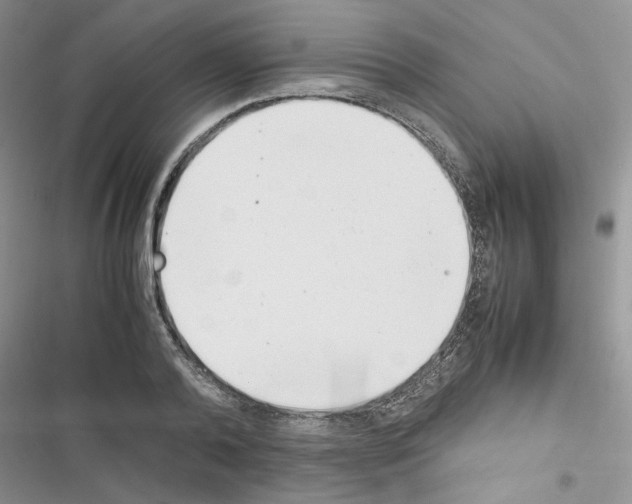 X0000116620792201001221339