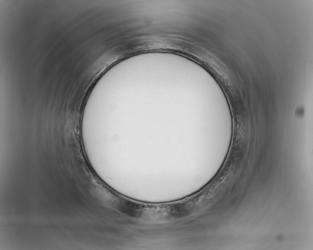 X0000116620793201001221339