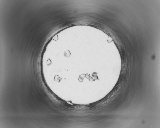 X0000116620795201001221339