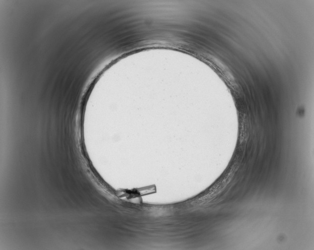 X0000116620796201001221339