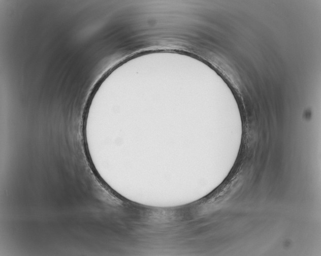 X0000116620797201001221339