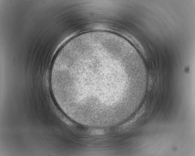 X0000116620798201001221339