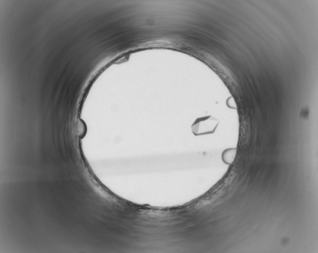 X0000116620800201001221338