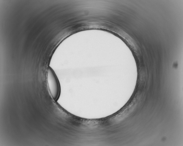 X0000116620801201001221338
