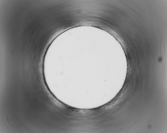 X0000116620803201001221338