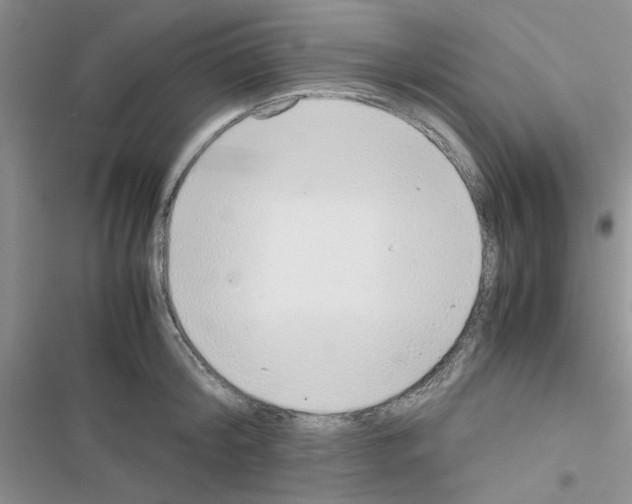 X0000116620804201001221338