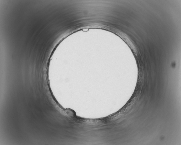 X0000116620805201001221338