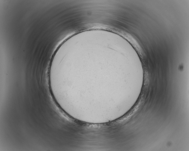 X0000116620806201001221338