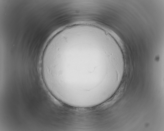 X0000116620807201001221338