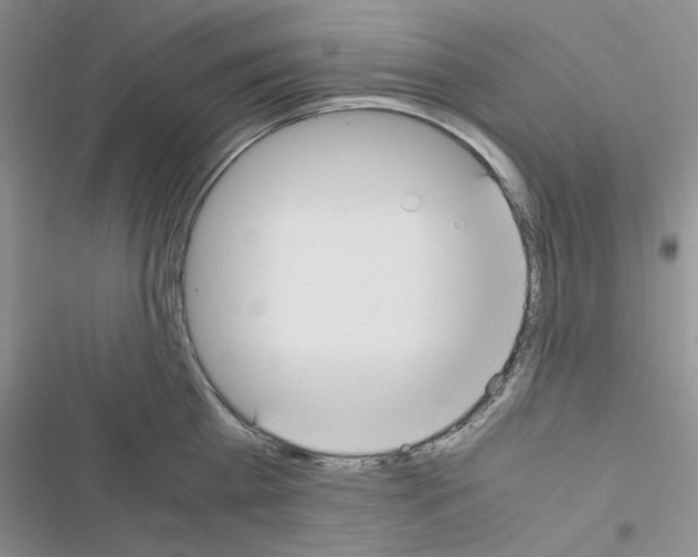 X0000116620809201001221338
