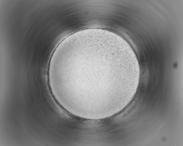 X0000116620810201001221338