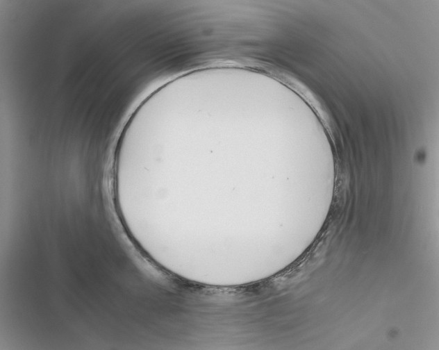X0000116620811201001221338