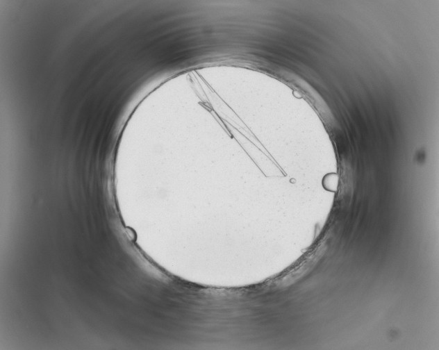 X0000116620812201001221338