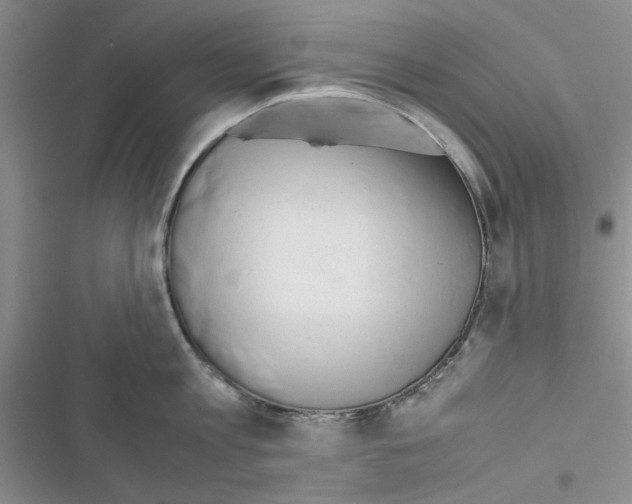 X0000116620813201001221338