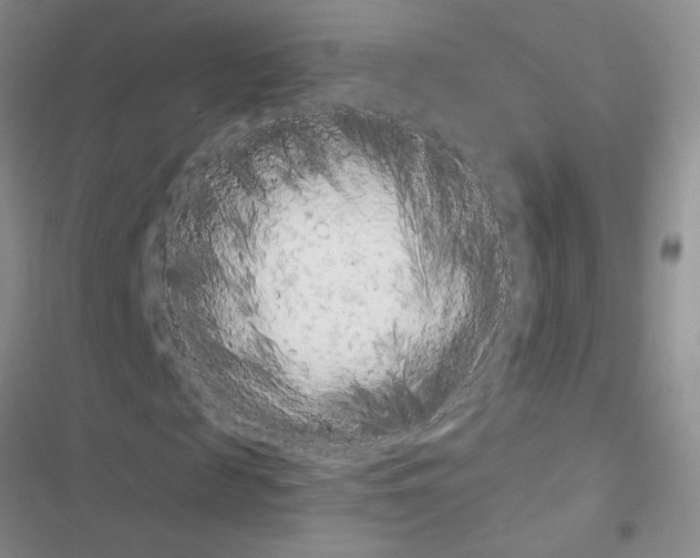 X0000116620817201001221338