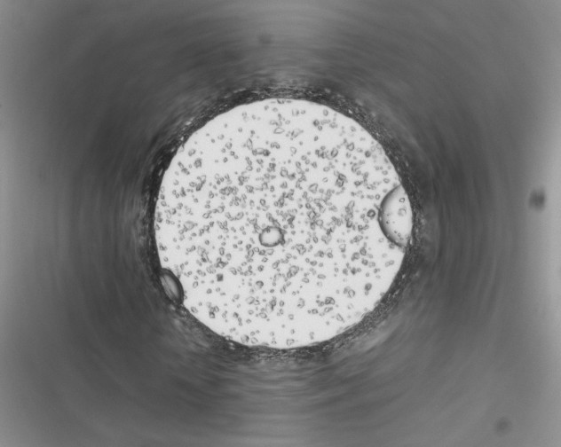 X0000116620818201001221338