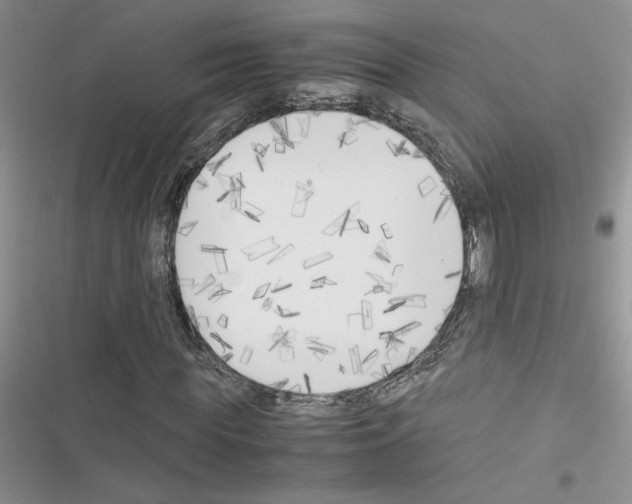 X0000116620819201001221338