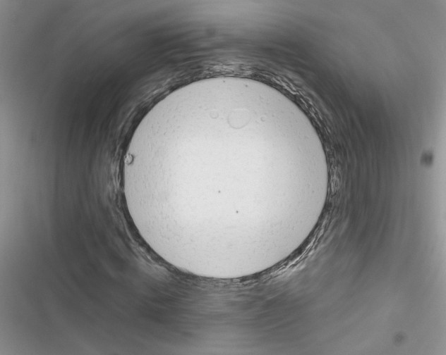X0000116620820201001221338
