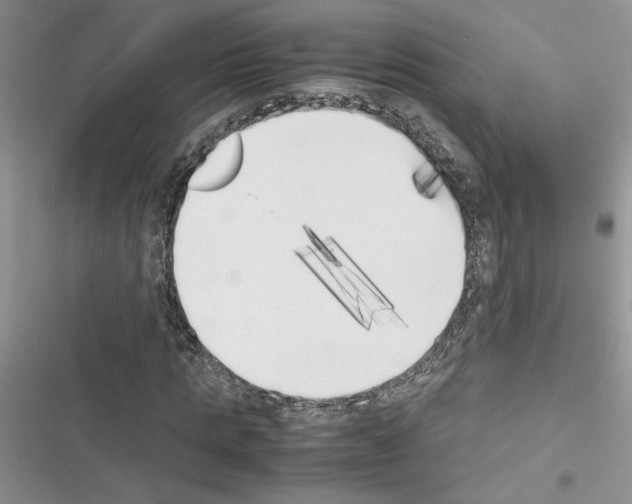 X0000116620821201001221338