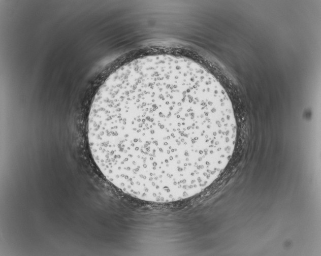 X0000116620822201001221338