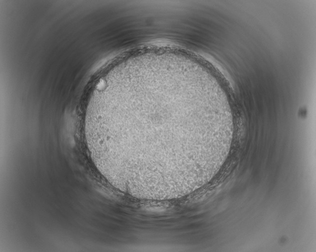 X0000116620823201001221338