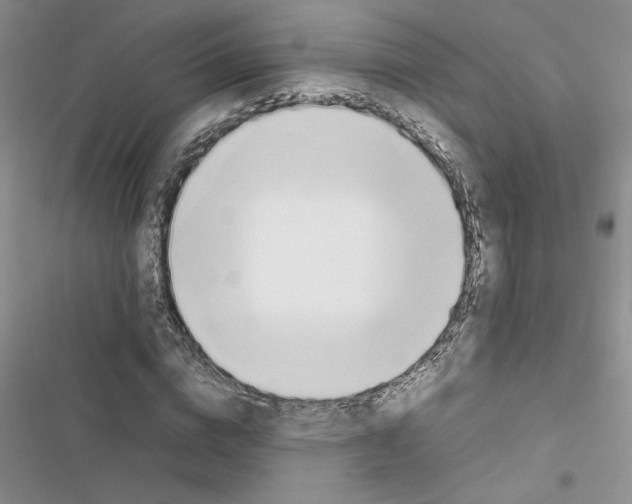 X0000116620824201001221338