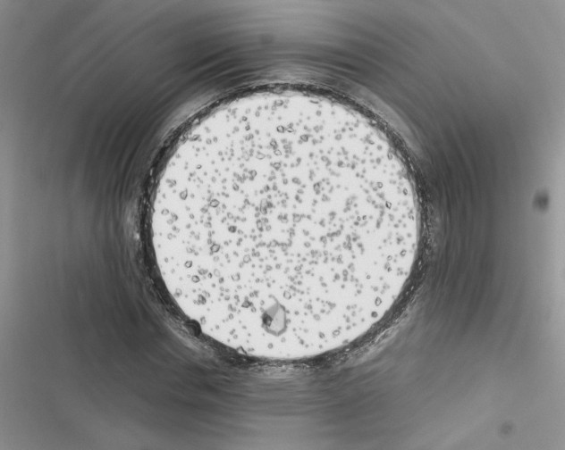 X0000116620826201001221338