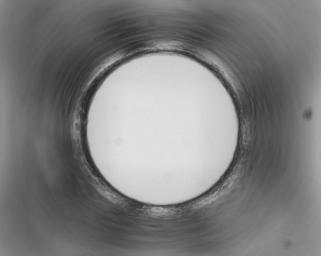X0000116620827201001221338