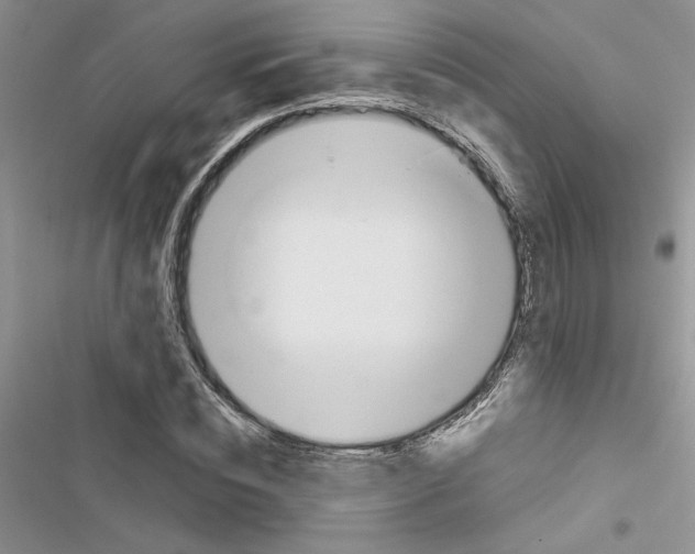 X0000116620828201001221338