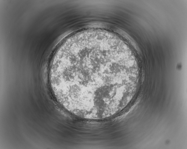 X0000116620829201001221338